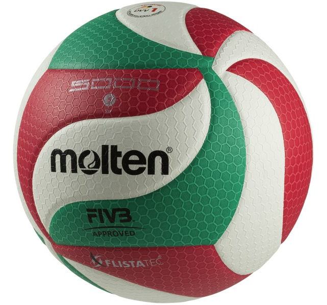 Molten Volleyball Flistatec kaufen